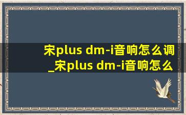 宋plus dm-i音响怎么调_宋plus dm-i音响怎么调到(低价烟批发网)